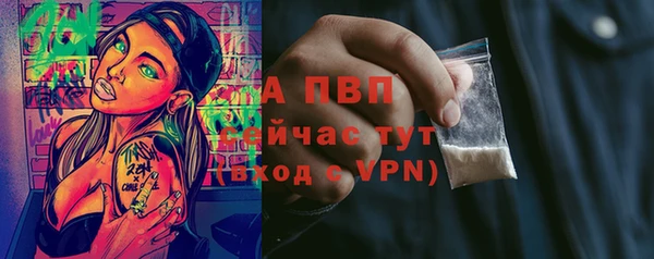 индика Бугульма